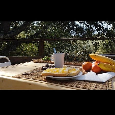 Cabana Del Arbol Lavagarural Villanueva del Rosario Kültér fotó