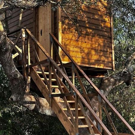 Cabana Del Arbol Lavagarural Villanueva del Rosario Kültér fotó