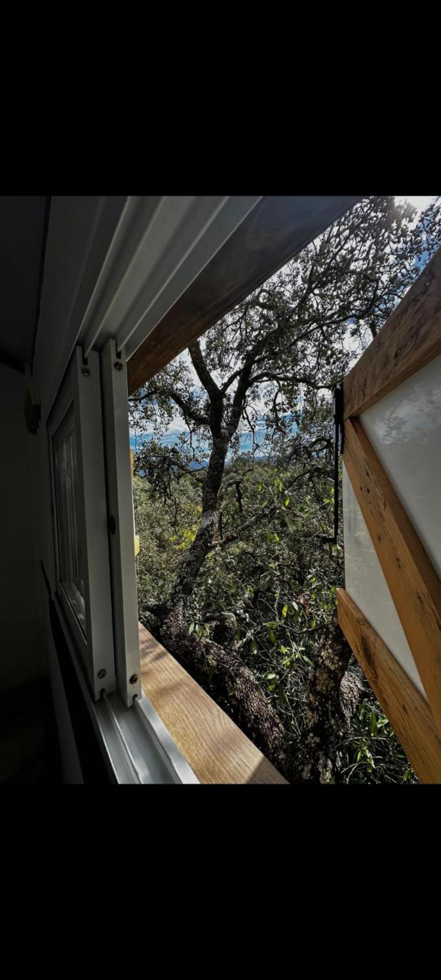 Cabana Del Arbol Lavagarural Villanueva del Rosario Kültér fotó