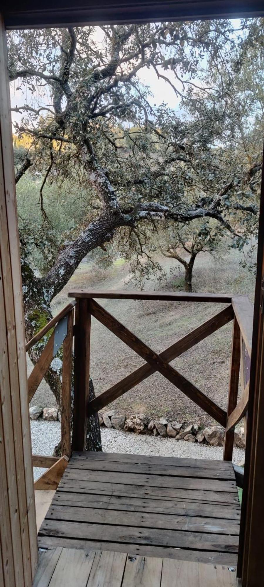 Cabana Del Arbol Lavagarural Villanueva del Rosario Kültér fotó